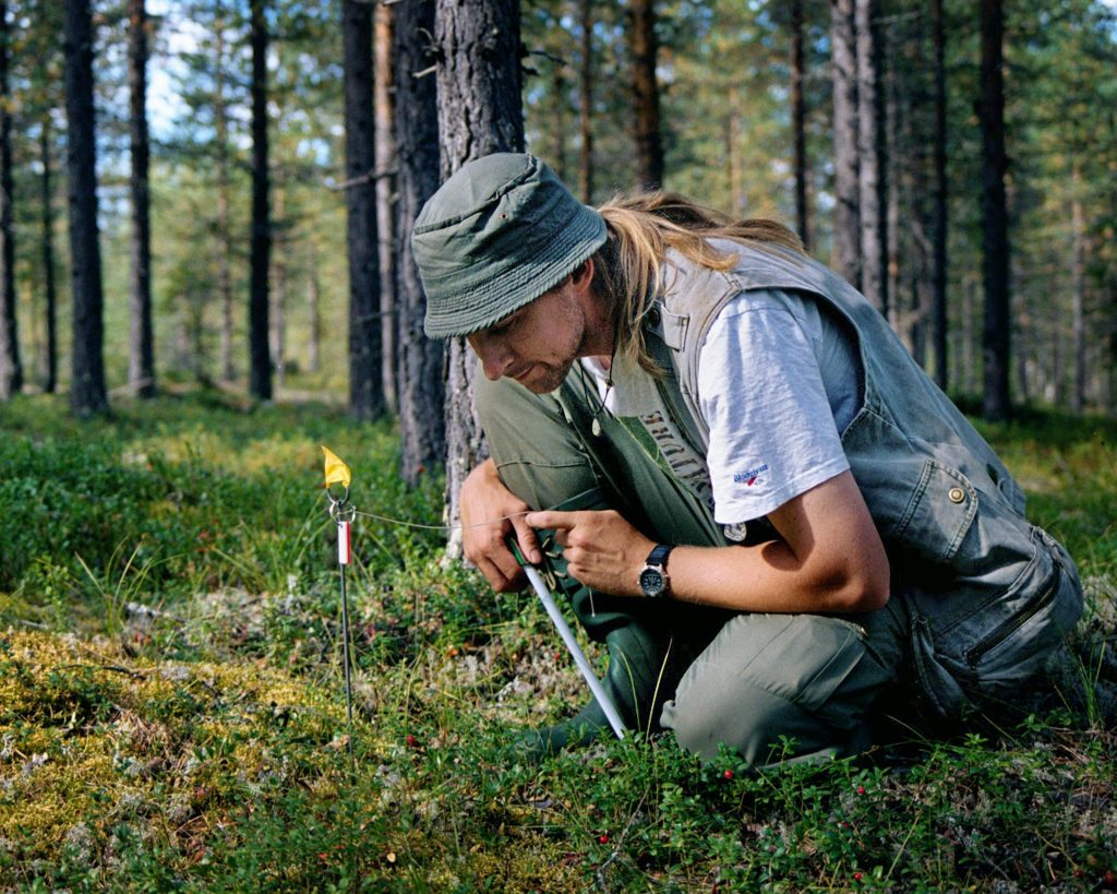 Bedömning av vegetationstäckning i fält, inventerade som tittar på en provyta